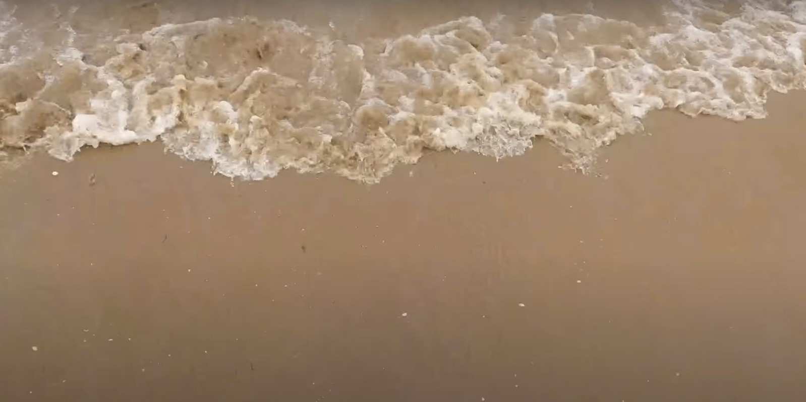 Beach View