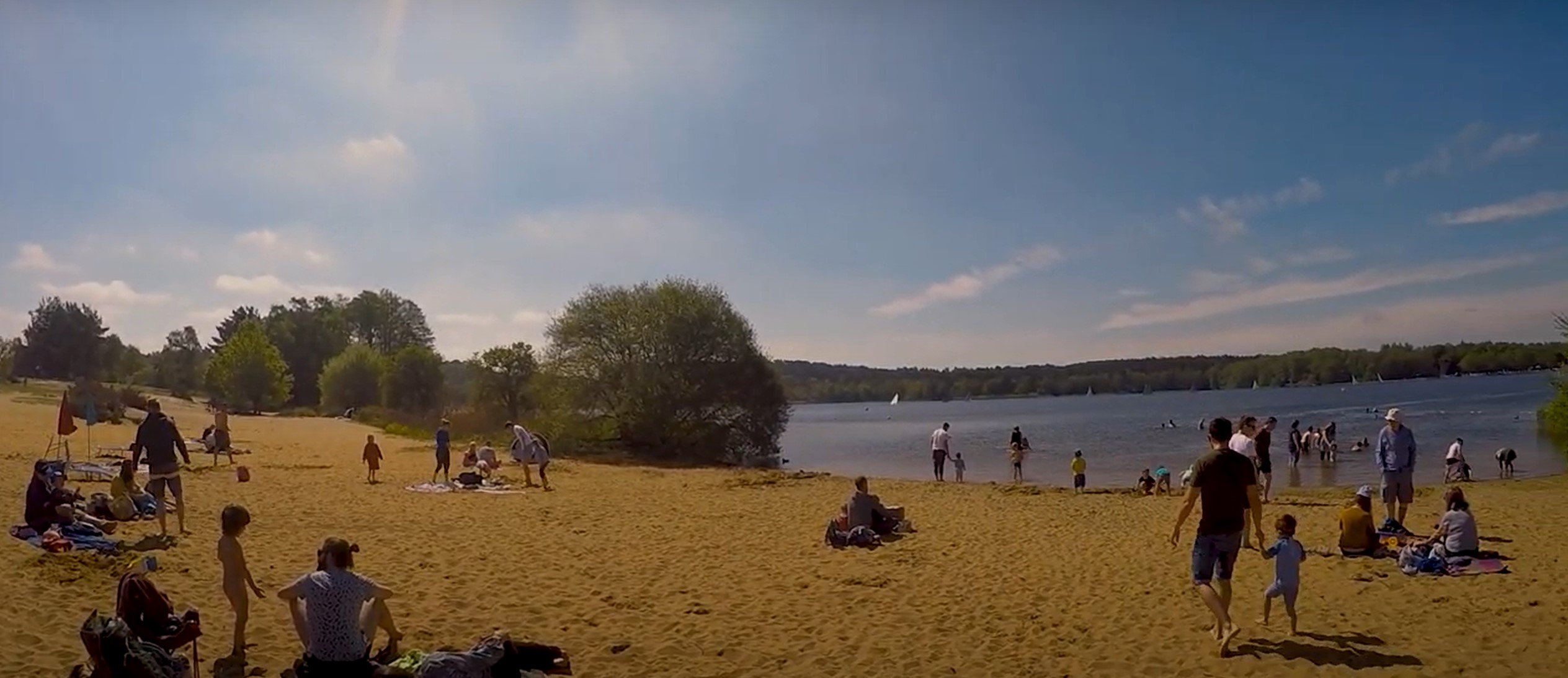 Frensham Great Pond Beach View