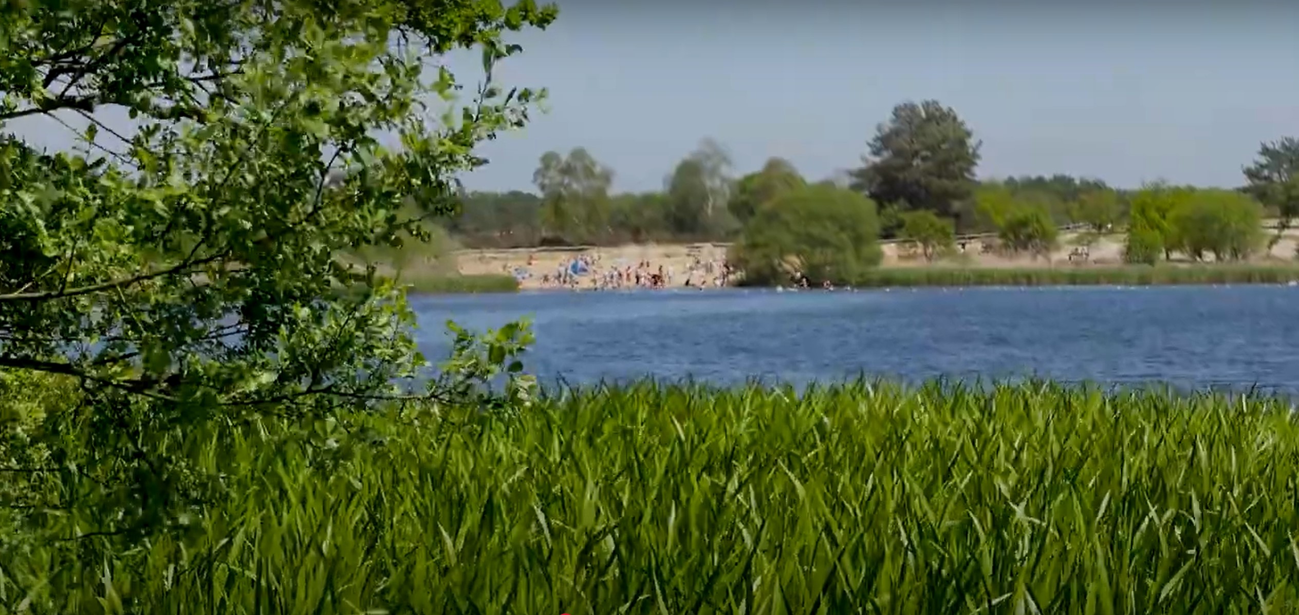 Frensham Great Pond Beach View