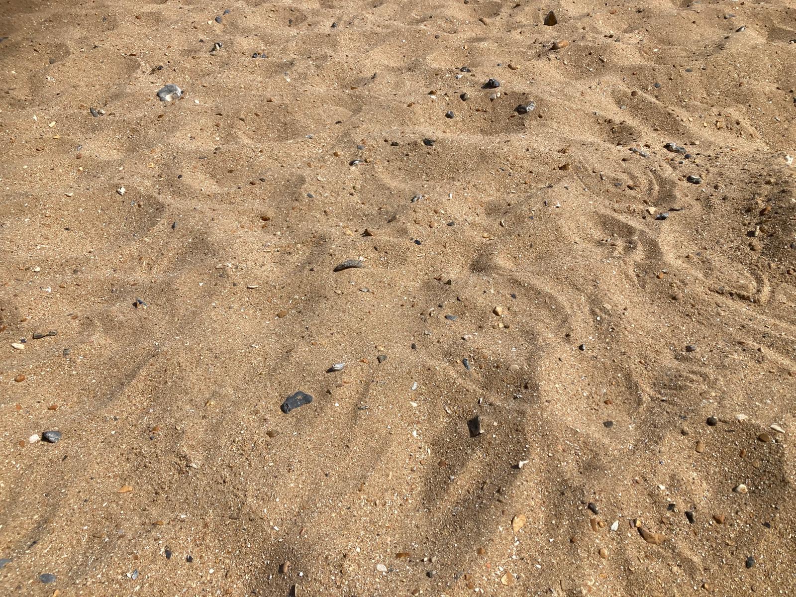 Beach View