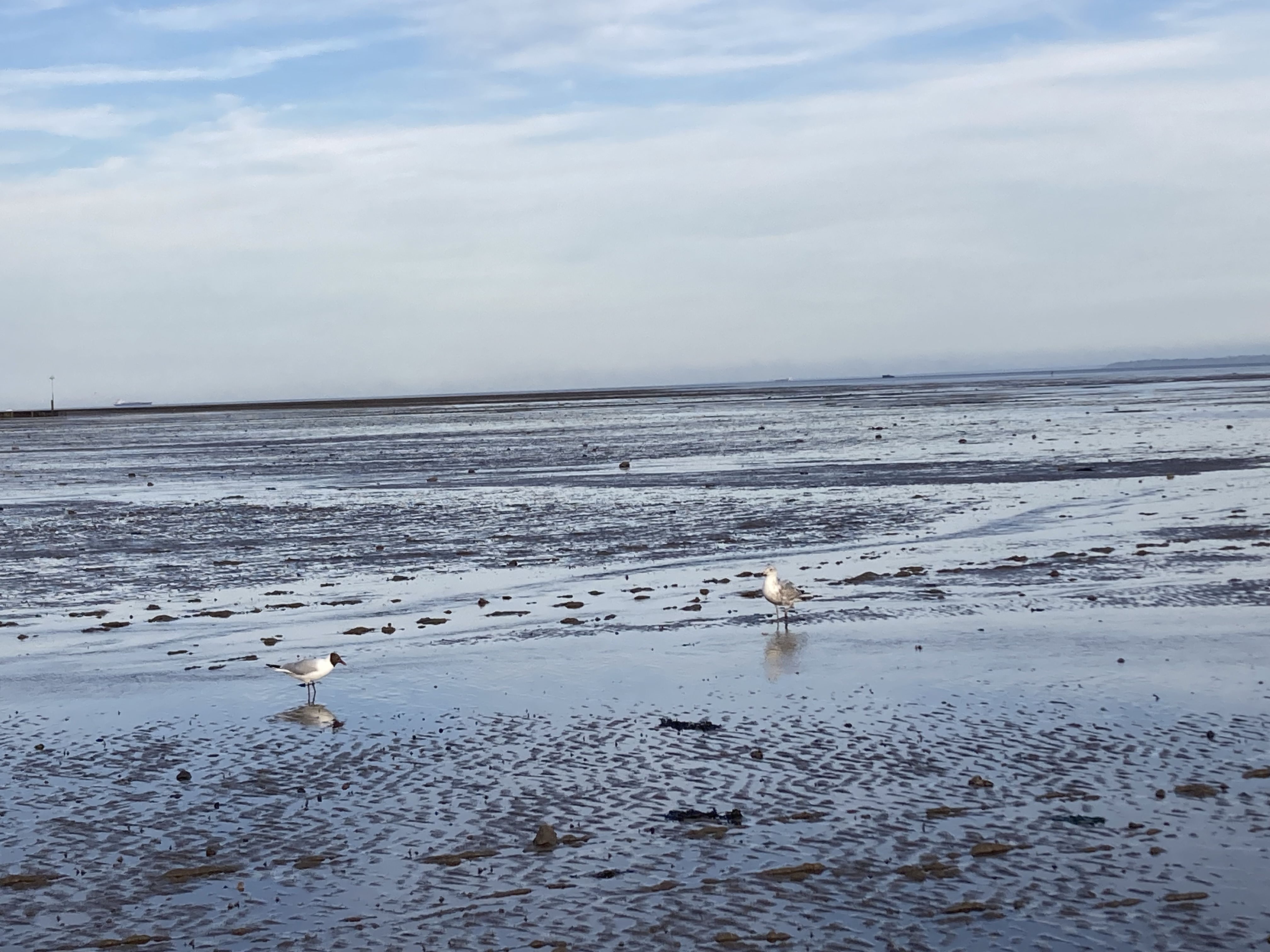 Beach View