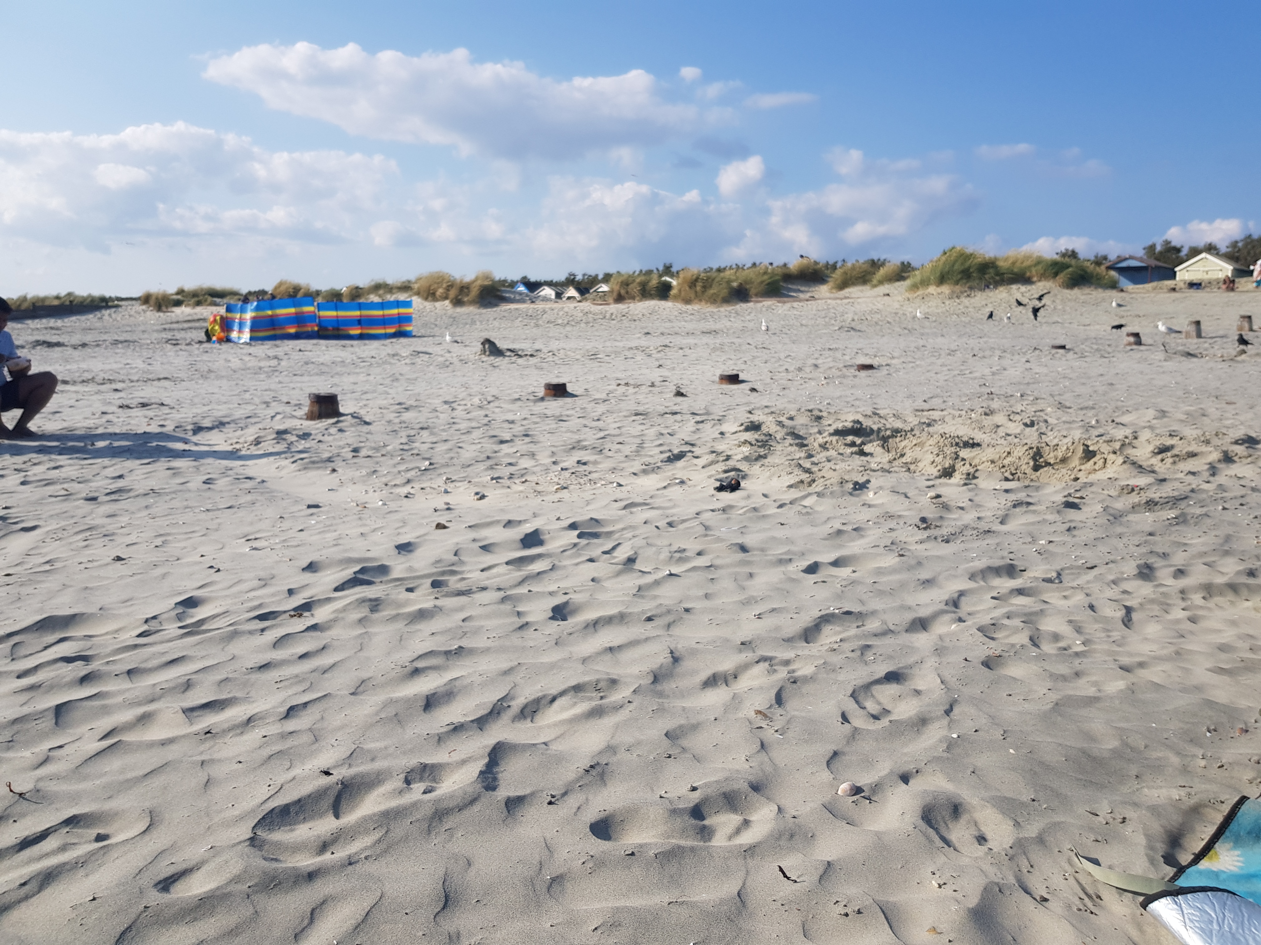 Beach View